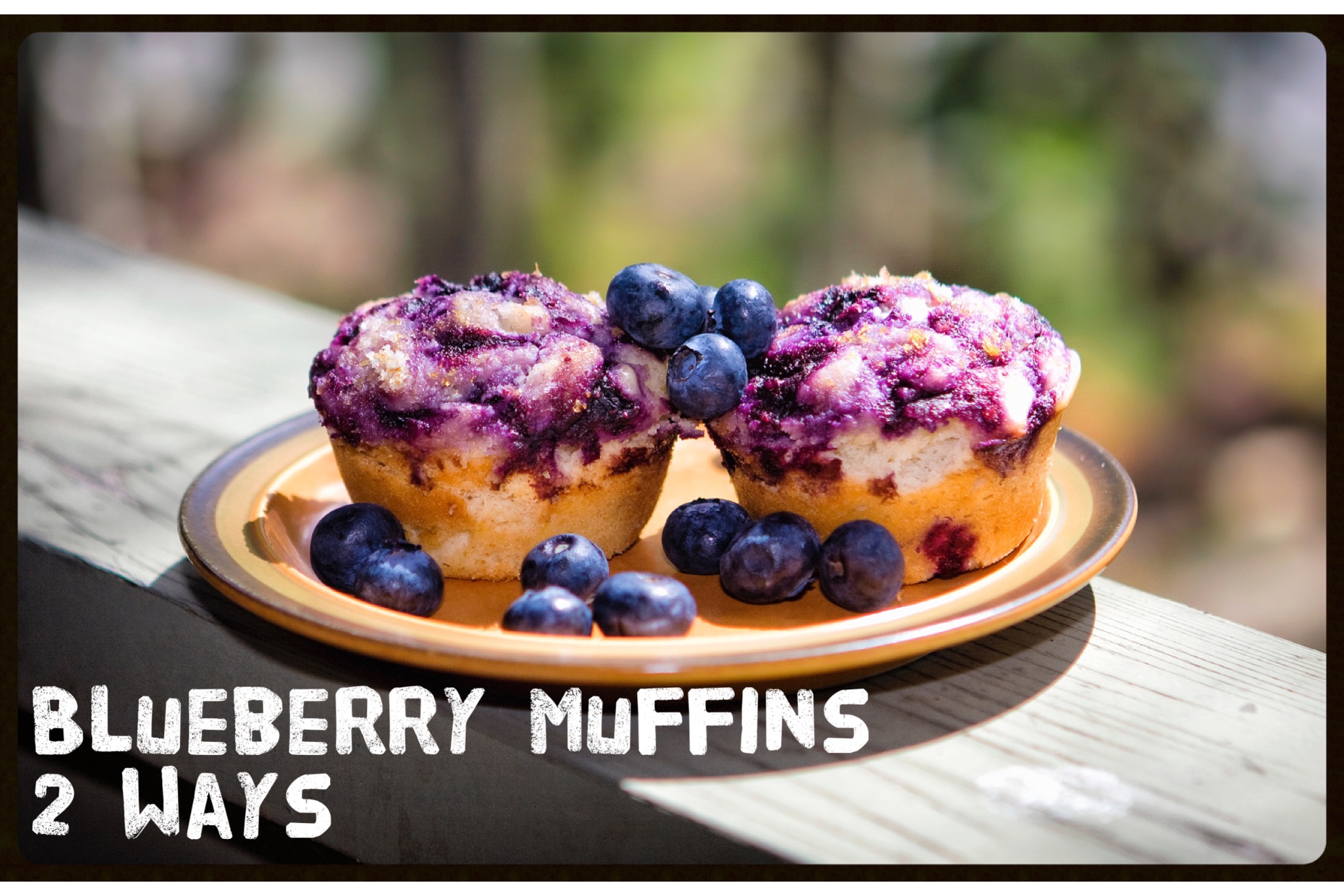 Blueberry Muffins