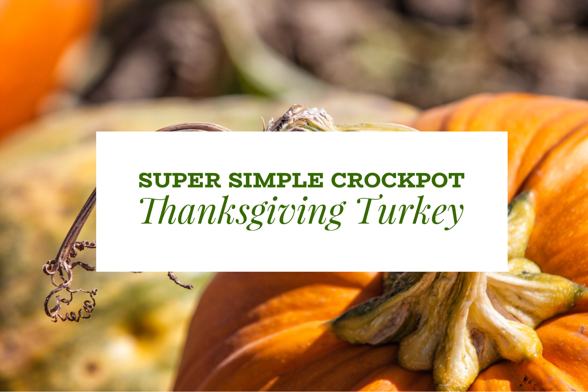 Super Simple Crockpot Thanksgiving Turkey