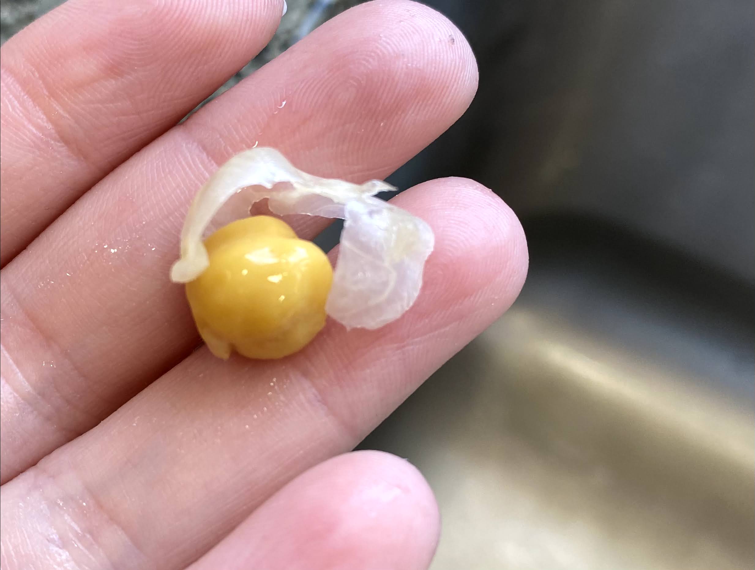 peeled chick pea